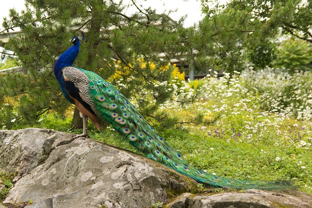 A Rejuvenating Two-Day trip to Korkeasaari Zoo in Helsinki